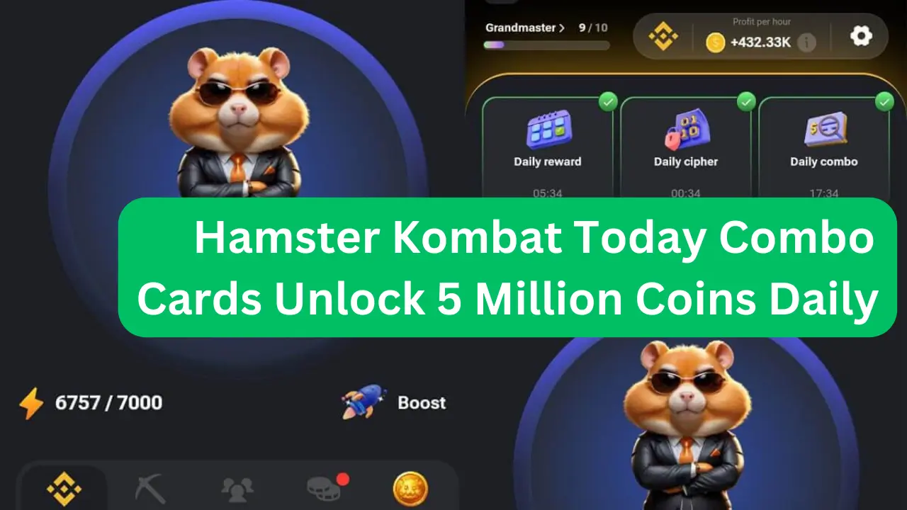 This image will show Hamster Kombat Today Combo Cards