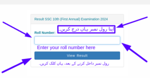 پنجاب بورڈ رول نمبر کے ذریعہ دسویں جماعت کا نتیجہ چیک کریں